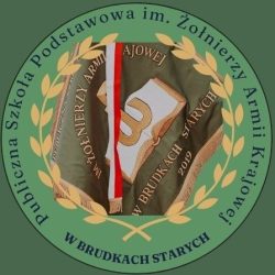 Szkoła im Armi Krajowej logo